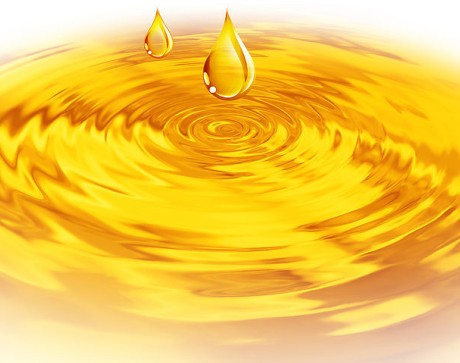 榨油機(jī)廠家講述玉米胚芽榨油機(jī)壓榨玉米油的價(jià)值